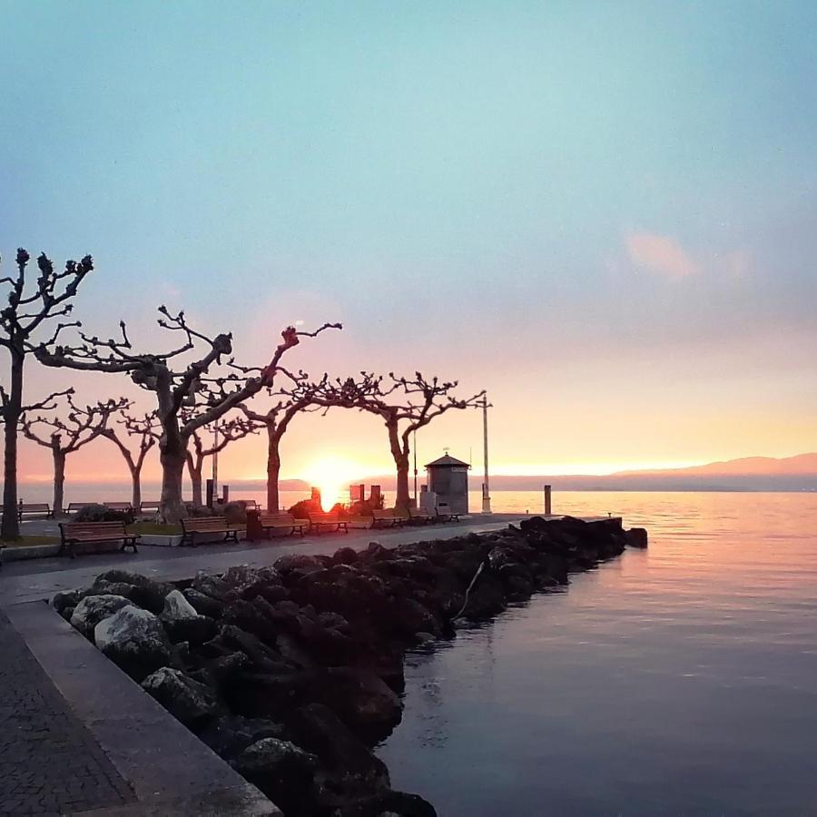 Suite Laura - Torri Del Benaco Bagian luar foto
